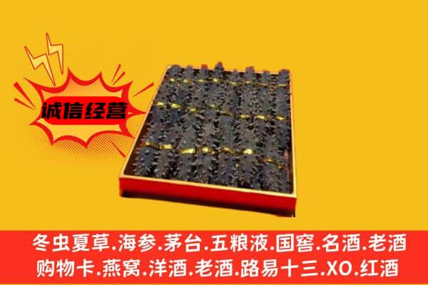 琅琊区回收海参